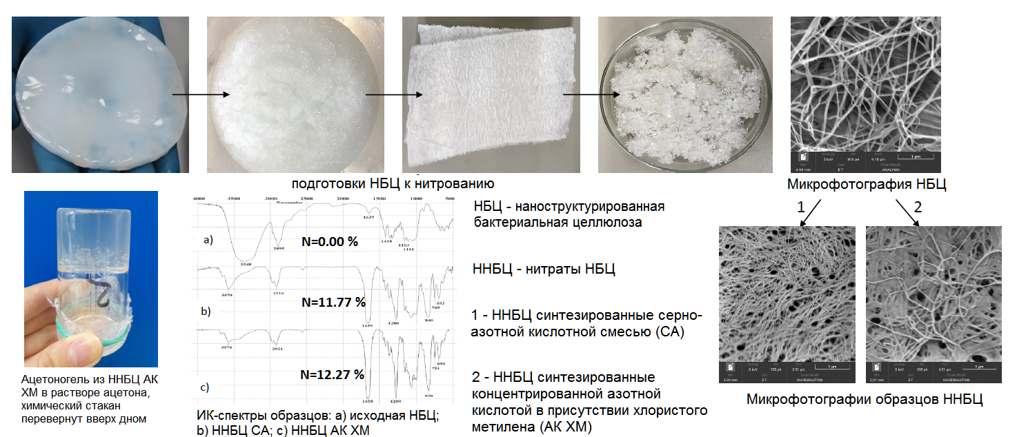Целлюлоза бактерии. Бактериальная Целлюлоза. Пленки бактериальной целлюлозы. Пленка из бактериальной целлюлозы. Целлюлоза полимер.