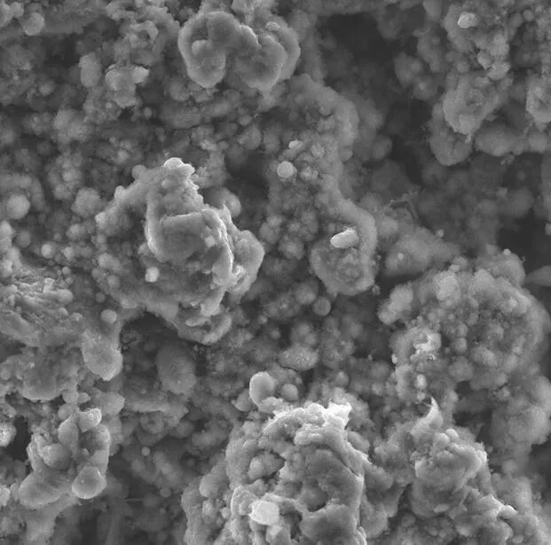 СЭМ-изображение текстуры поверхности металла, модифицированного лазерным излучением. Увеличение х2800. Источник: Дмитрий Феоктистов