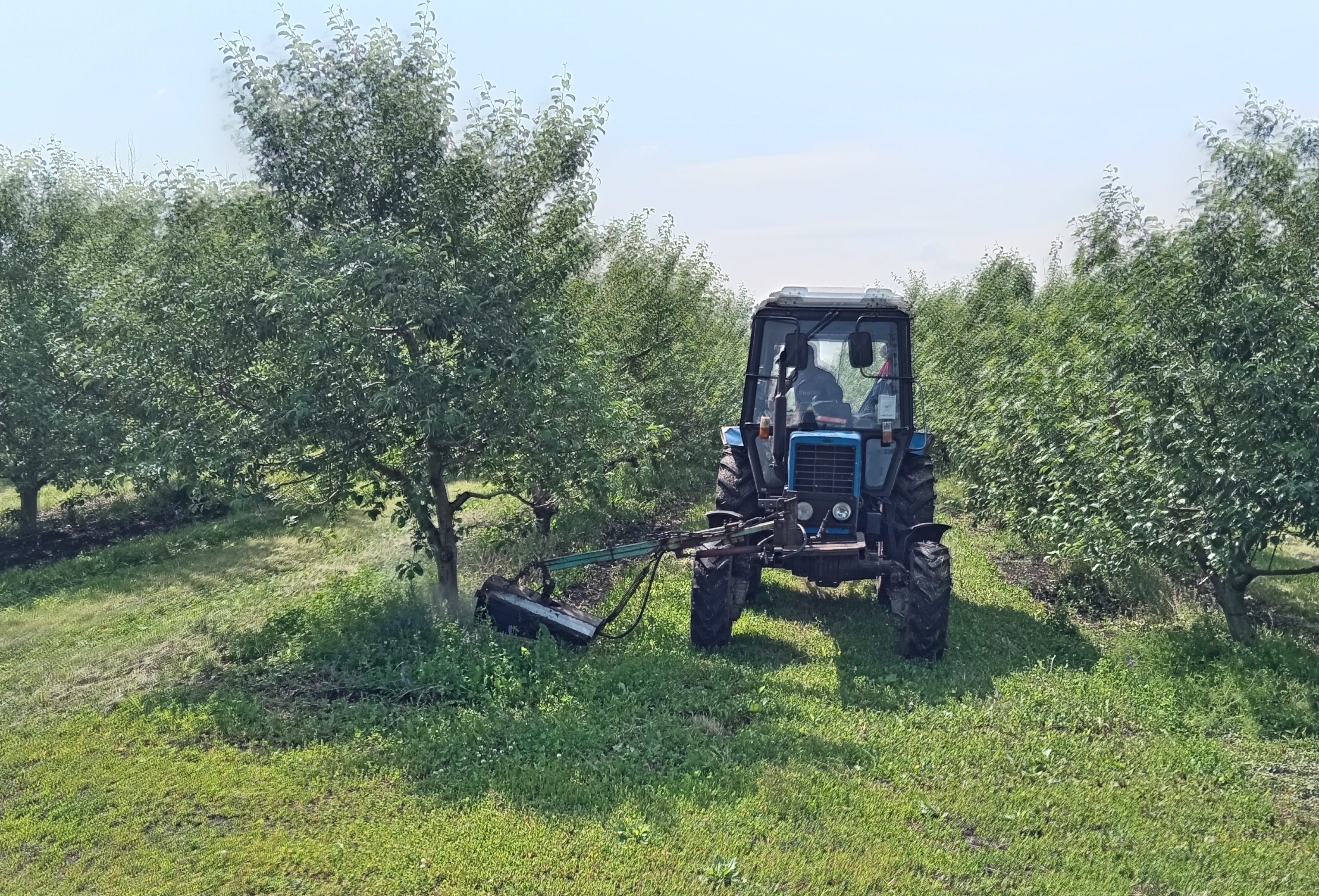 Внесение микробиологических удобрений в пристальную полосу. Источник: авторы исследования