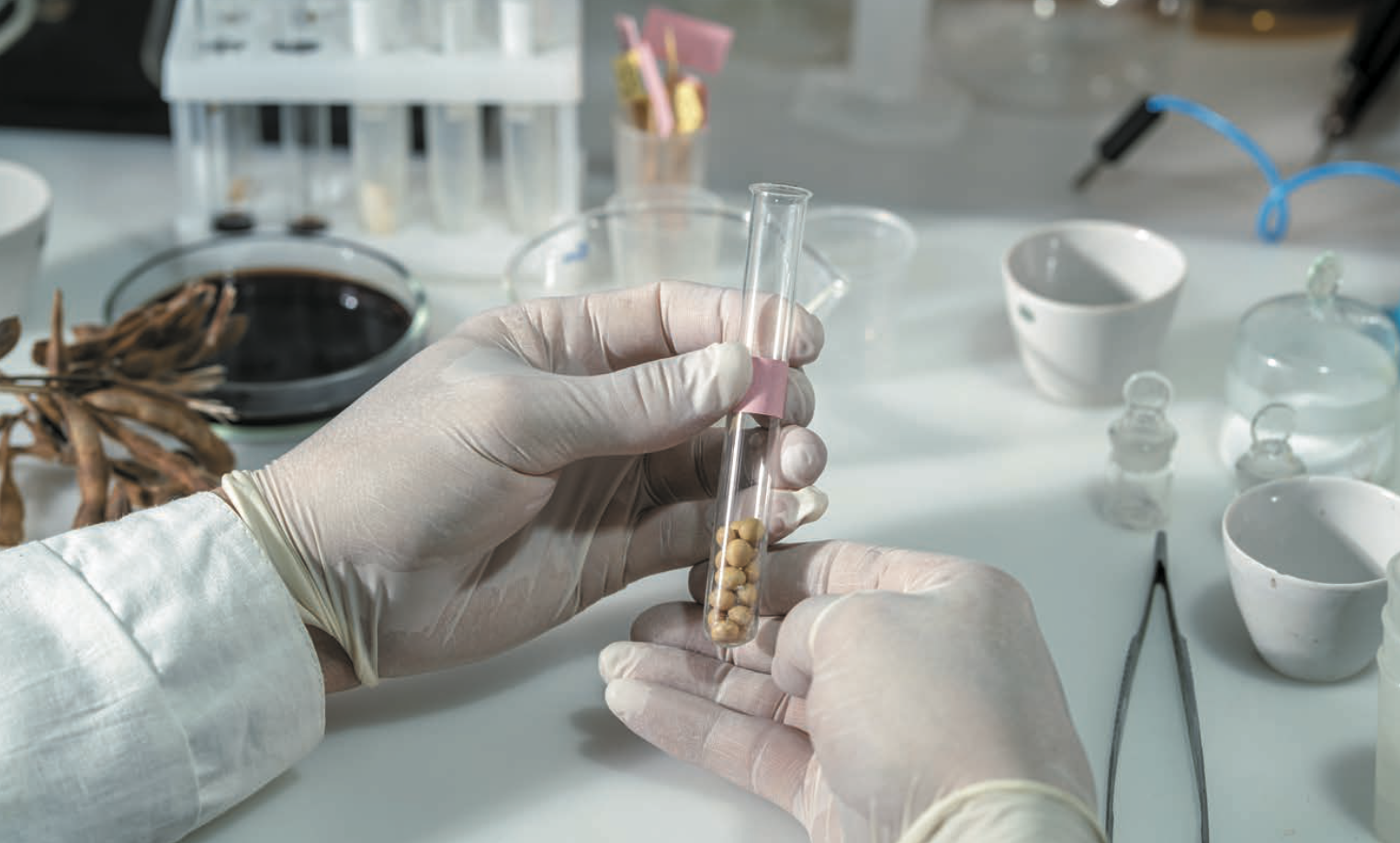 Источник: Издательство «Редколлегия»