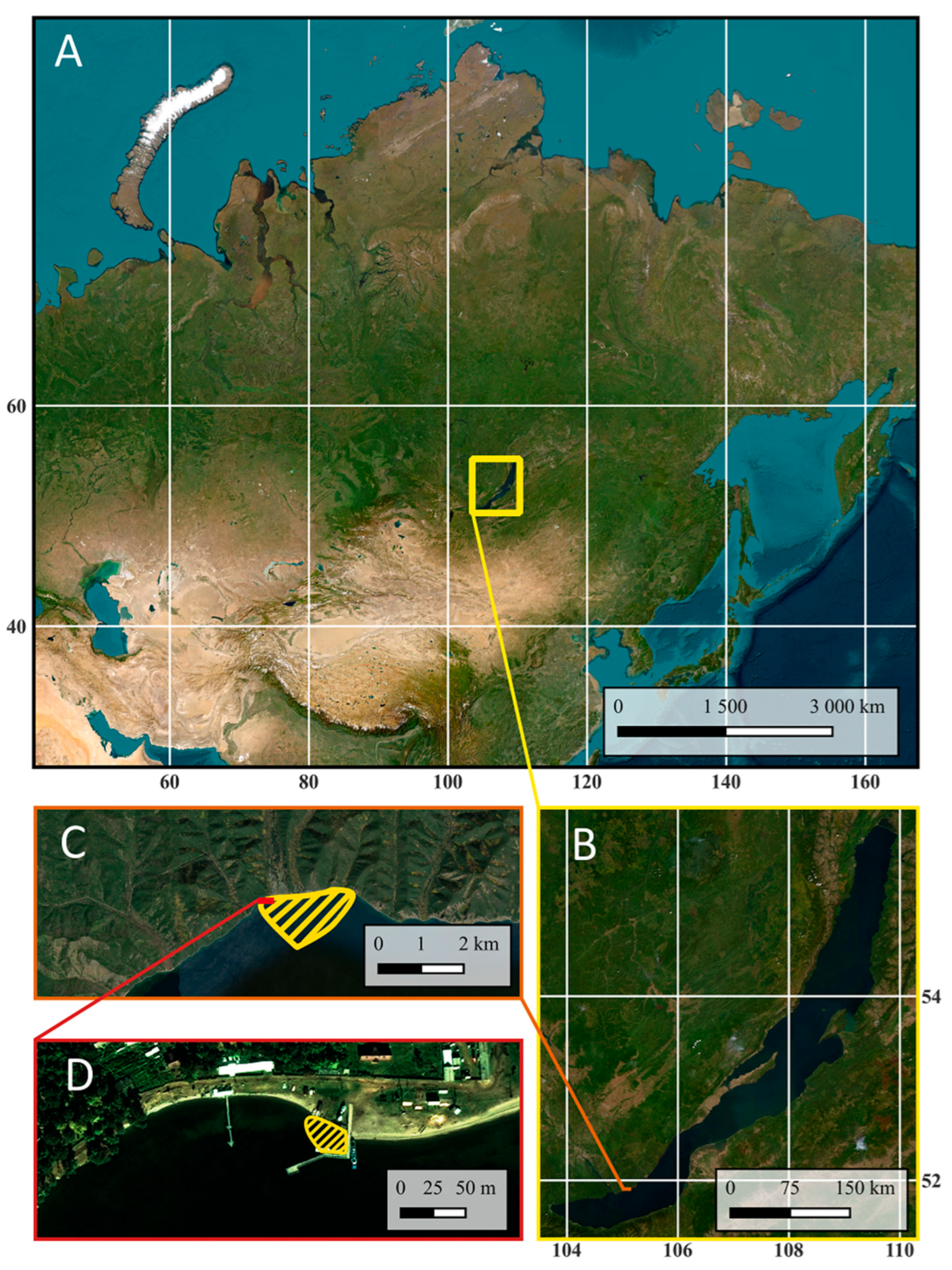 Отбор проб в поверхностном слое озера Байкал. Источник: Дмитрий Карнаухов
