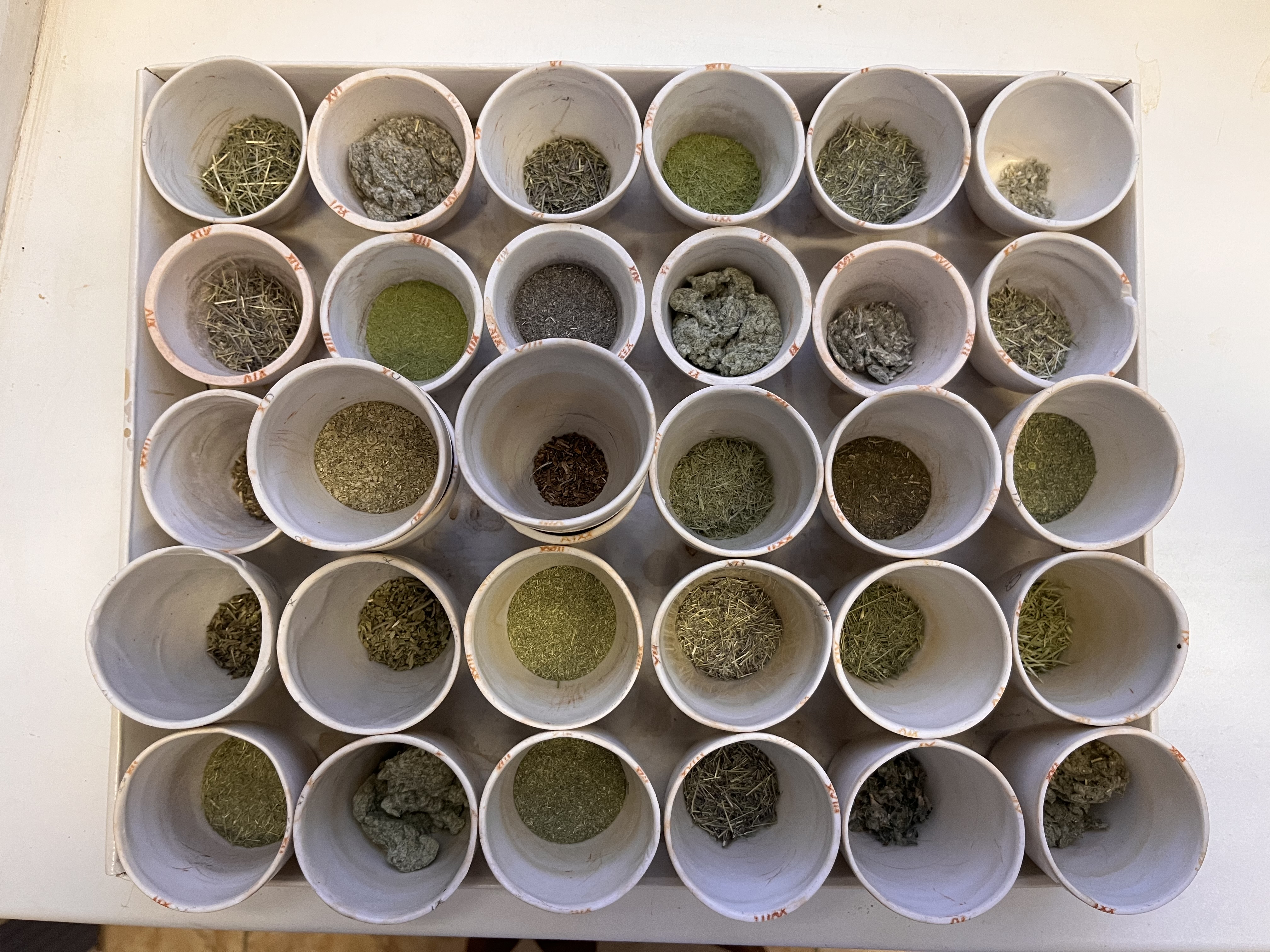 Подготовка проб к определению содержания углерода. Источник: Полина Енчилик