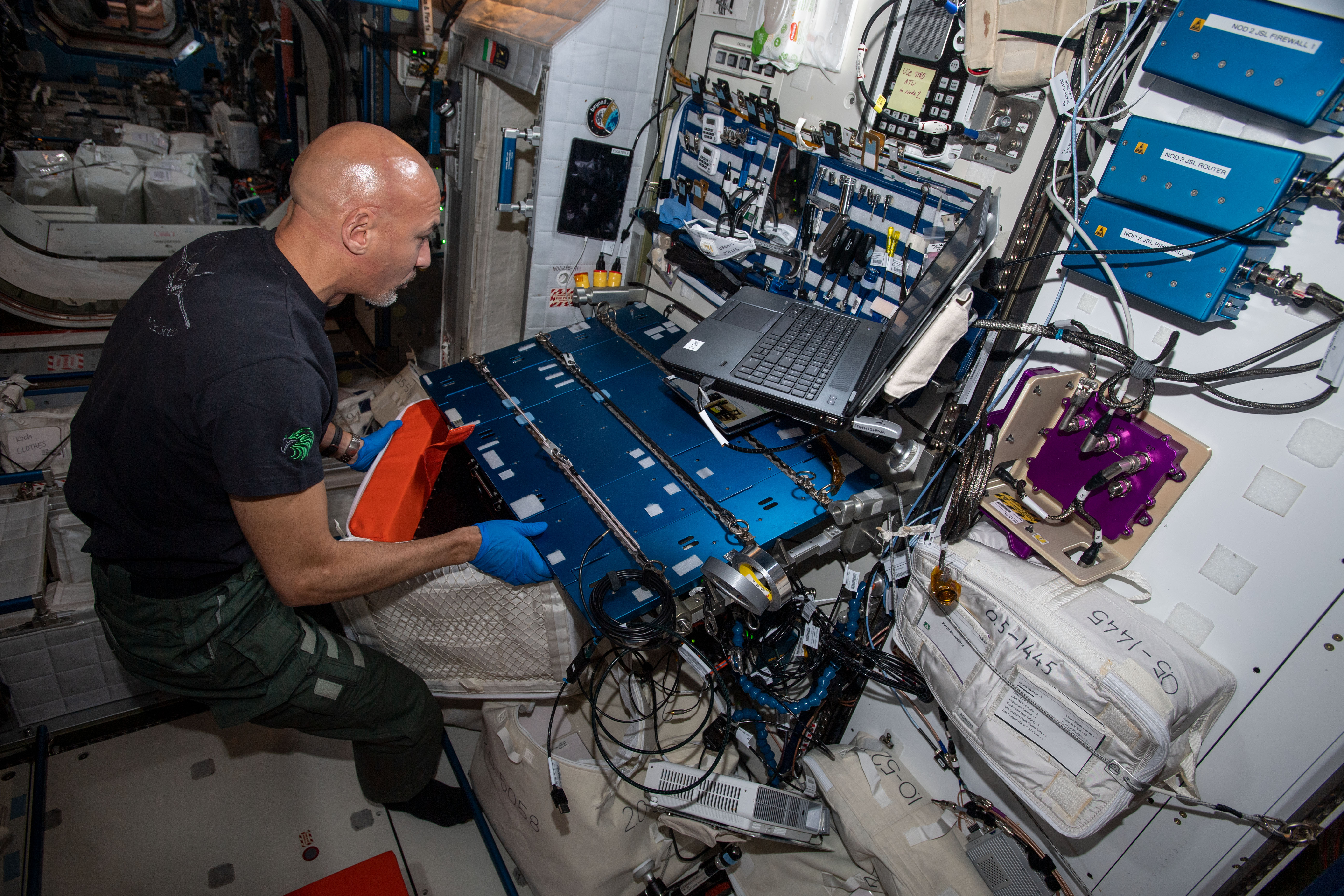 Проведение эксперимента на МКС. Источник: Федор Роньшин