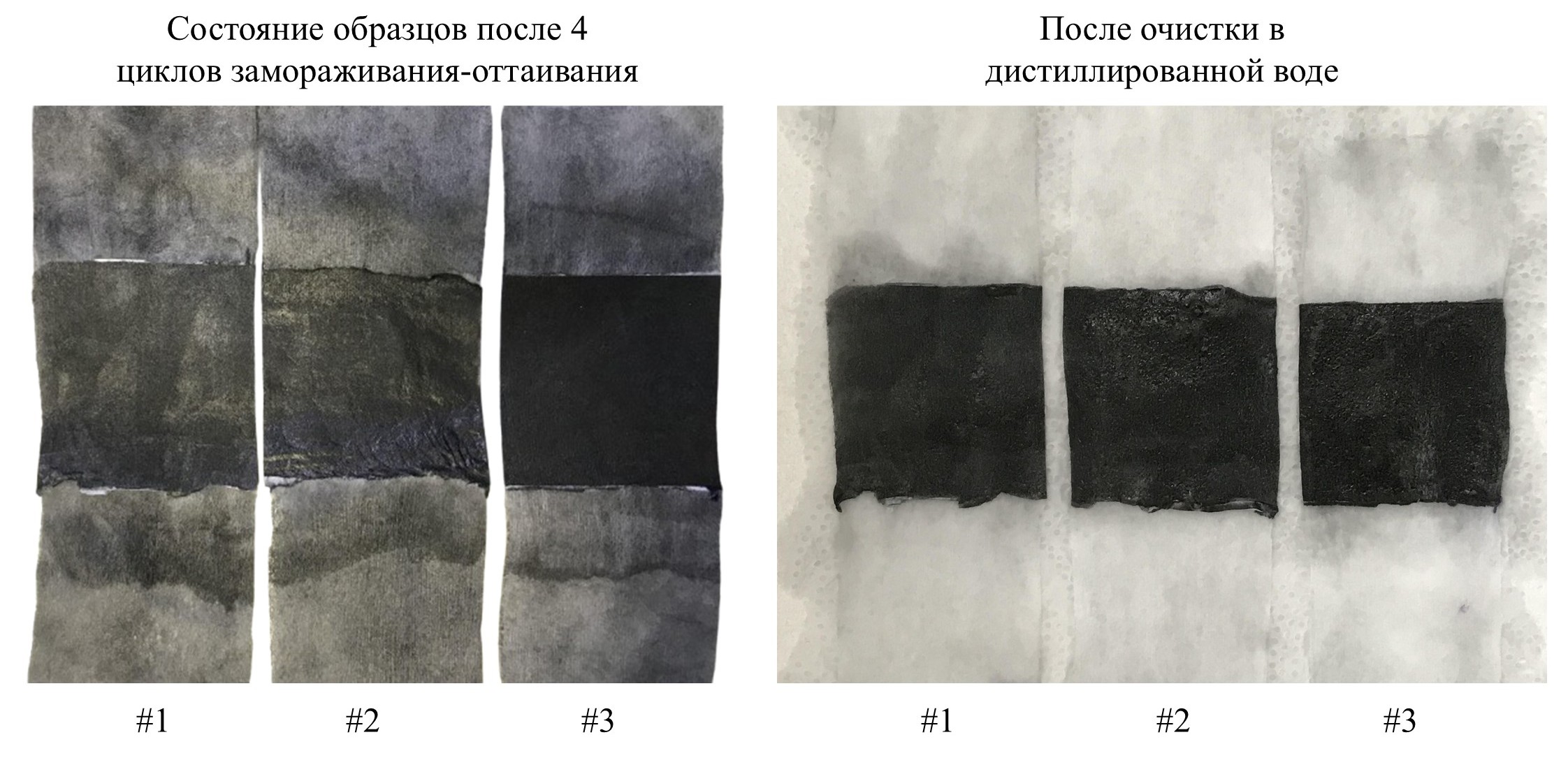 Внешний вид графен-гидрогелевых мембран на нетканой основе для двухмерного межфазного солнечного испарения. Источник: Инна Михайлова