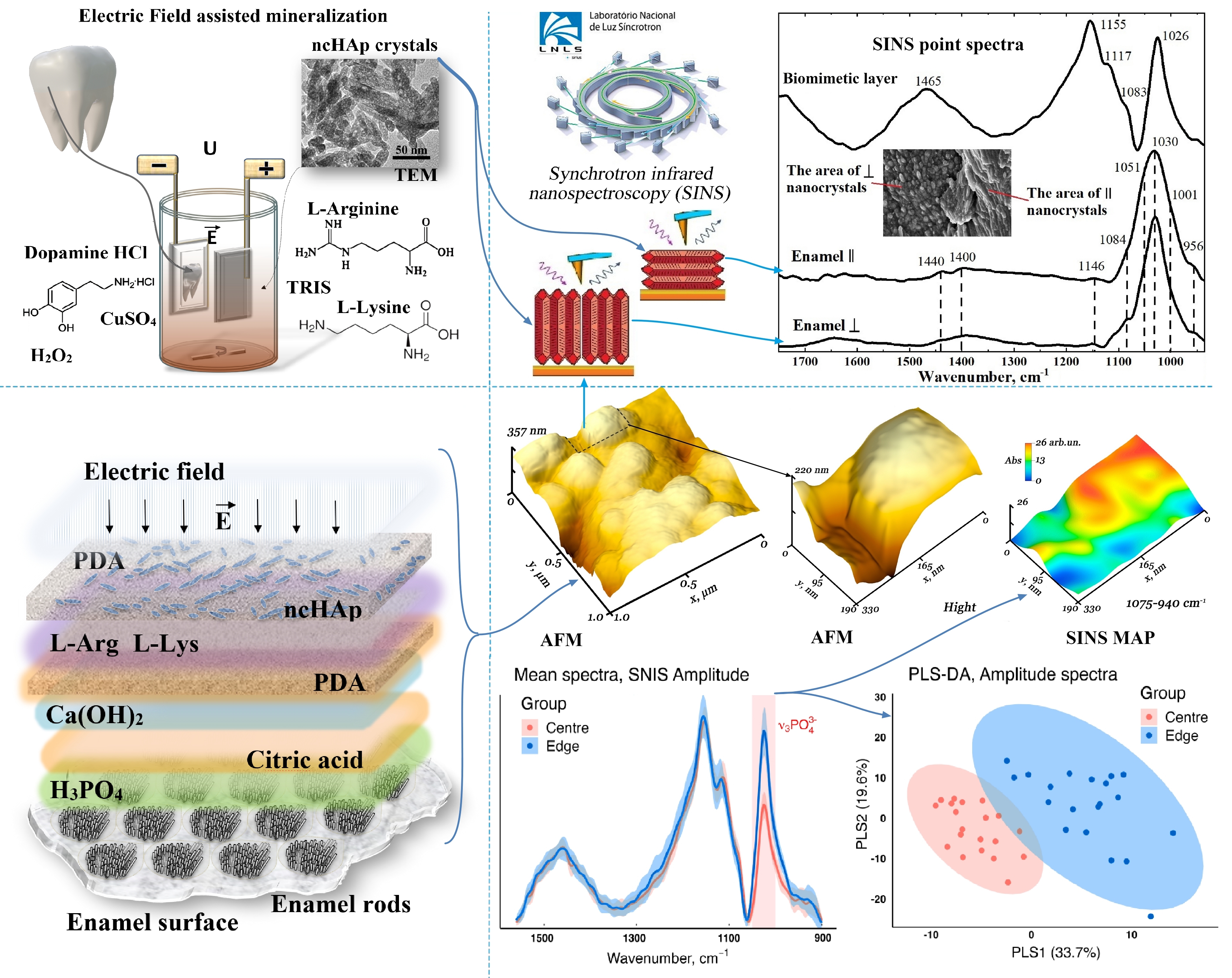 Графическое резюме исследования. Источник: Павел Середин / Из личного архива