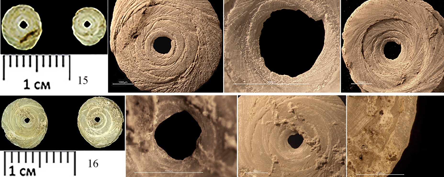 Нашивки-бусины, найденные исследователями. Источник: АНО «Лаборатория доистории»